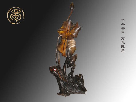 【荷花】烏木金絲楠