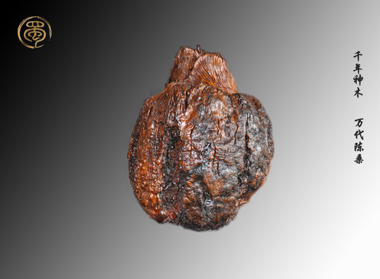 金絲楠木