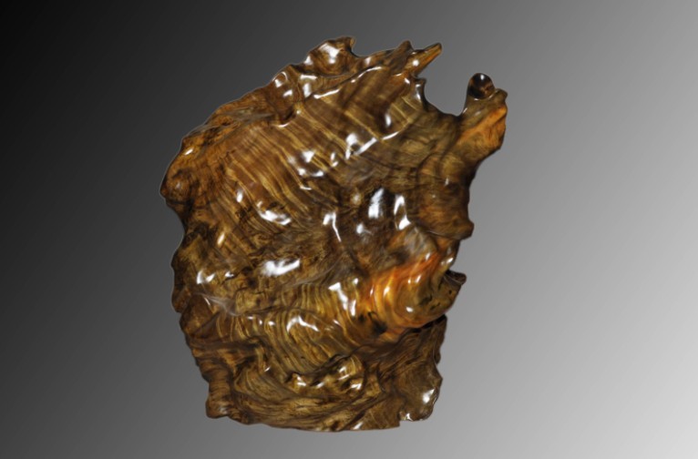 烏木金絲楠自然擺件