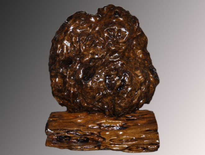 烏木金絲楠樹瘤擺件
